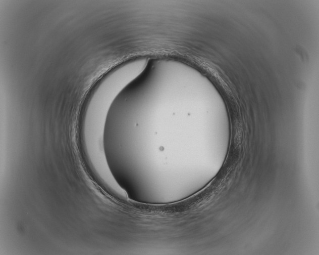 X0000112400677200909110929