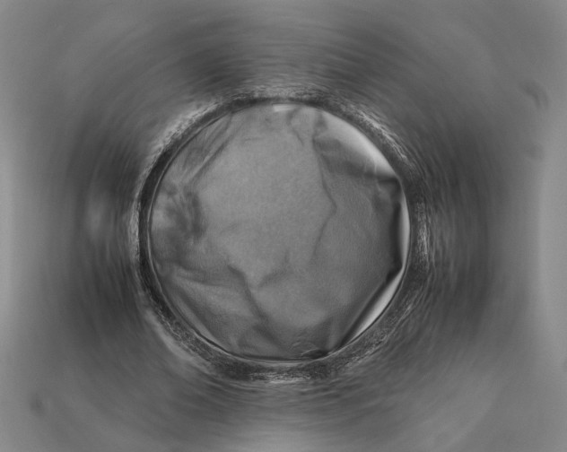 X0000112400678200909110929
