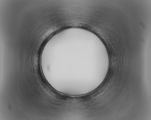 X0000112400679200909110929