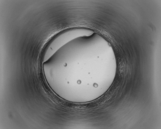 X0000112400680200909110929
