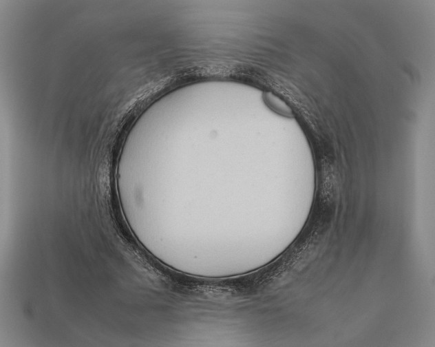 X0000112400681200909110929