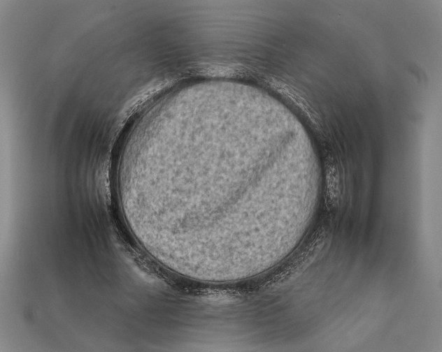 X0000112400682200909110929