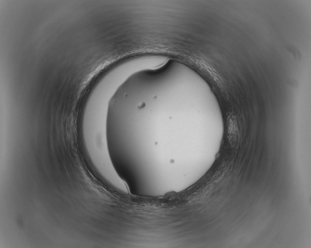 X0000112400684200909110929