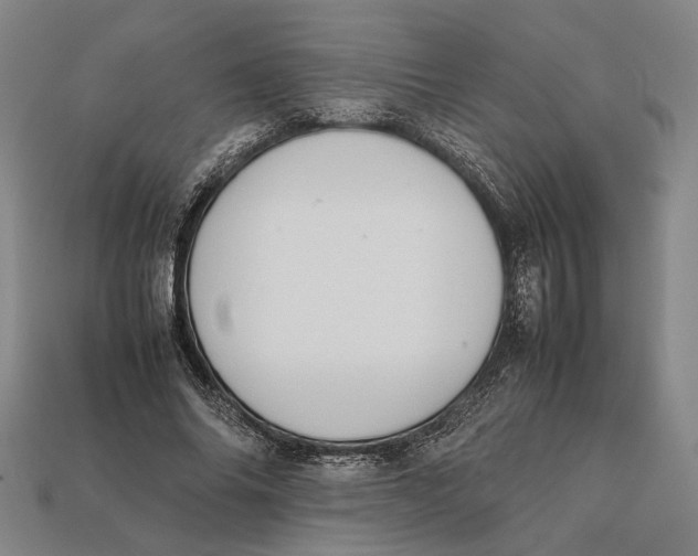 X0000112400686200909110929