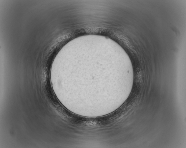 X0000112400687200909110929