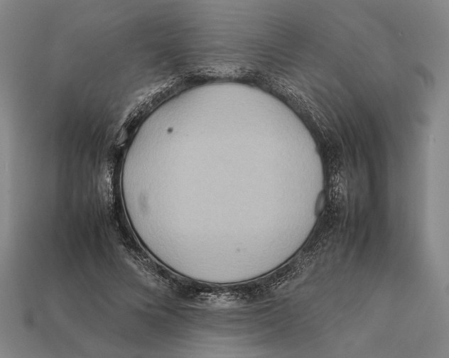 X0000112400688200909110929