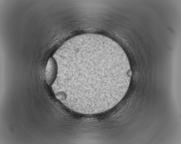 X0000112400689200909110929