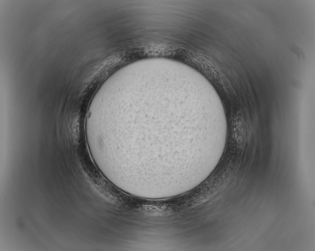 X0000112400690200909110929