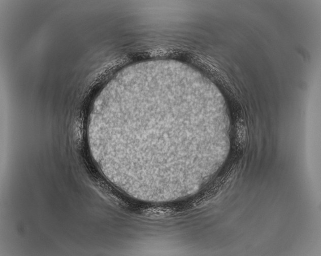 X0000112400691200909110929
