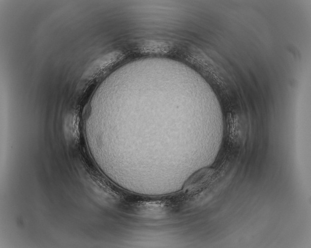 X0000112400692200909110929