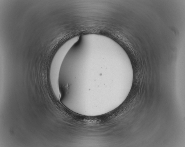X0000112400693200909110929