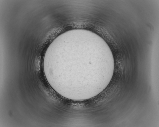 X0000112400694200909110929