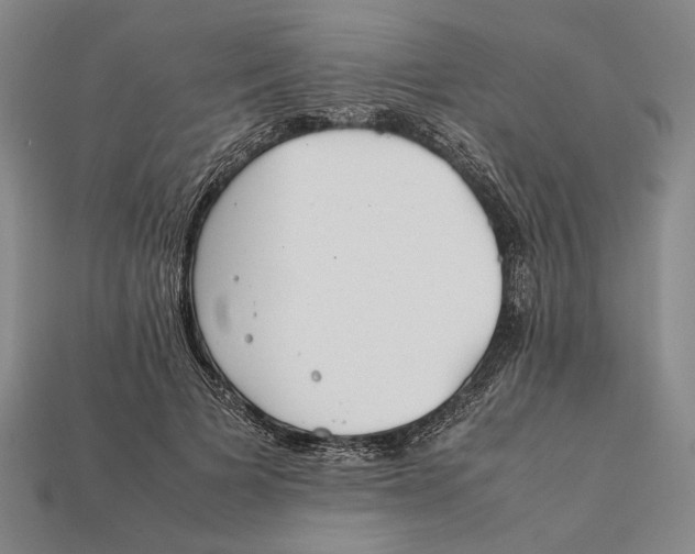 X0000112400697200909110929