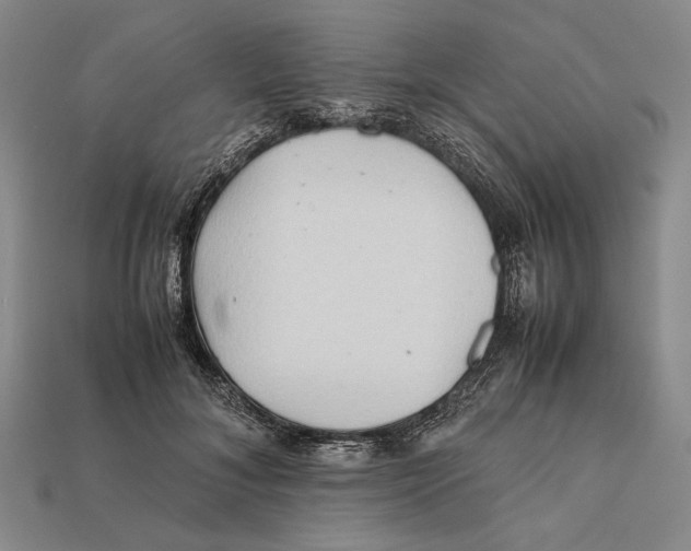 X0000112400700200909110929
