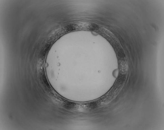X0000112400701200909110929