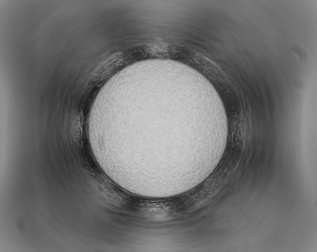 X0000112400702200909110929