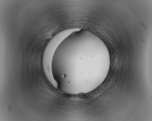 X0000112400704200909110929