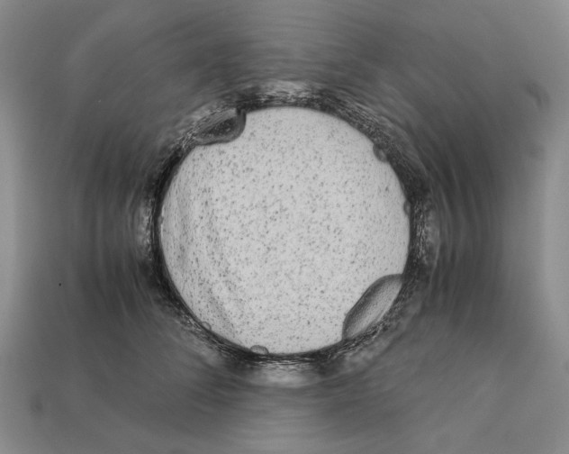 X0000112400708200909110929