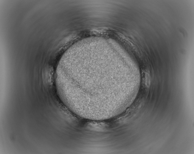 X0000112400712200909110929