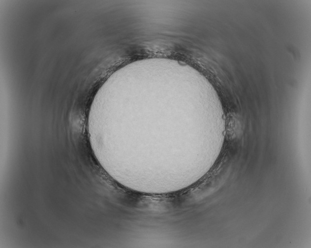 X0000112400713200909110929