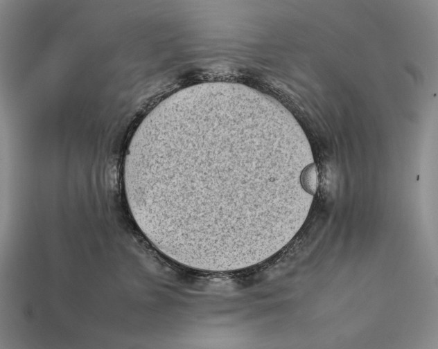X0000112400715200909110929