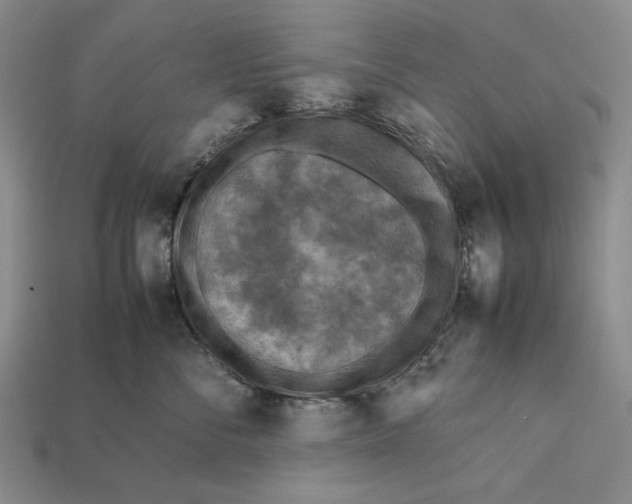 X0000112400716200909110929
