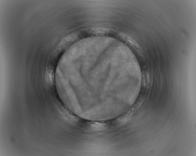X0000112400718200909110929