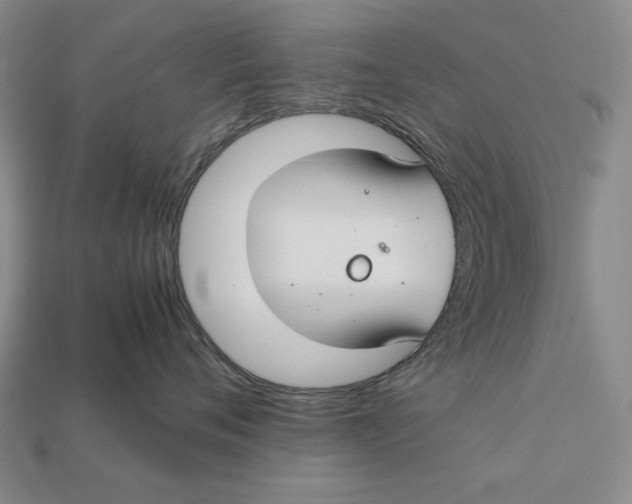 X0000112400720200909110929