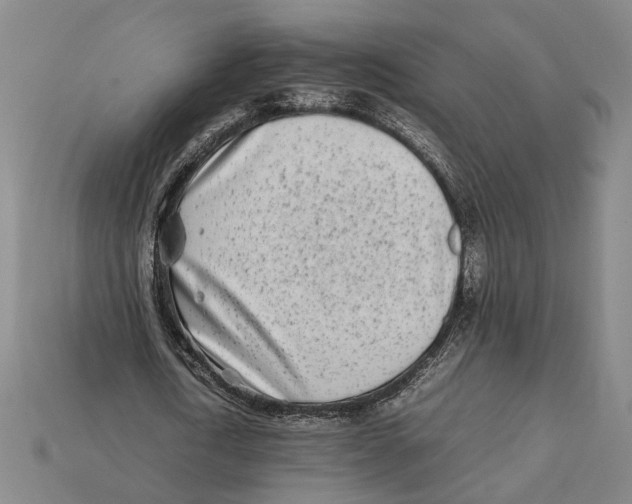 X0000112400722200909110928
