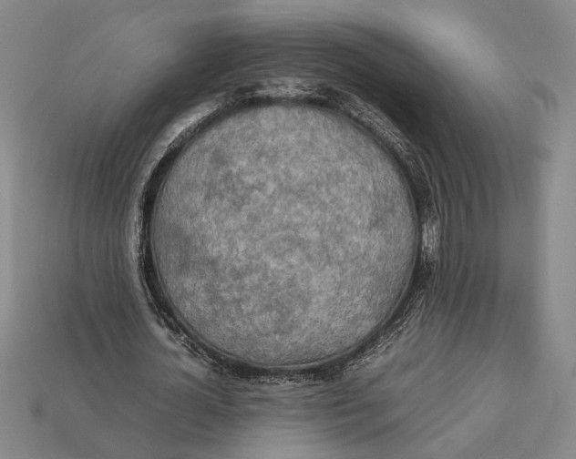 X0000112400724200909110928