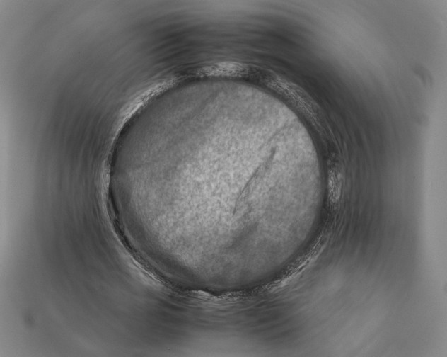 X0000112400725200909110928