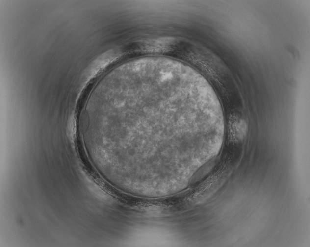 X0000112400726200909110928