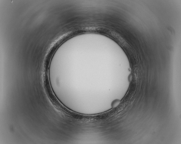 X0000112400728200909110928