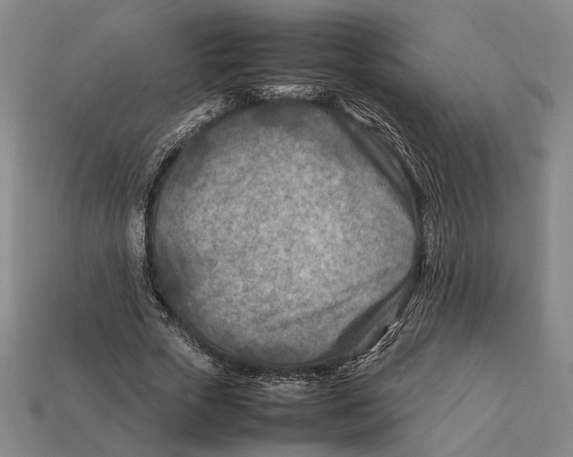 X0000112400729200909110928