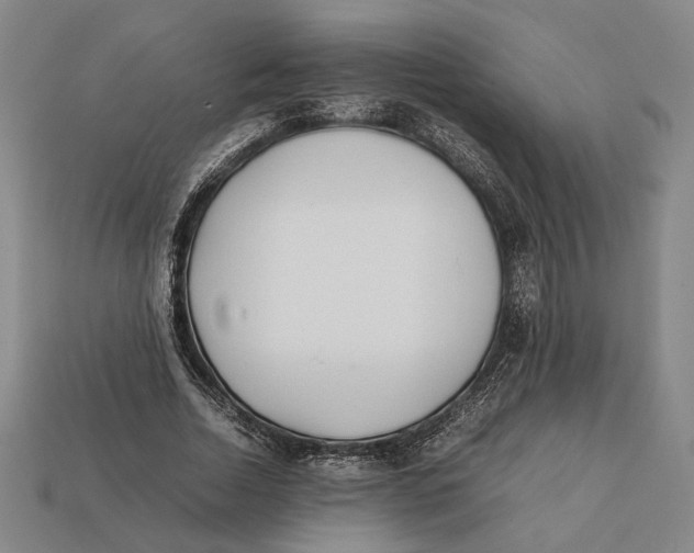 X0000112400730200909110928