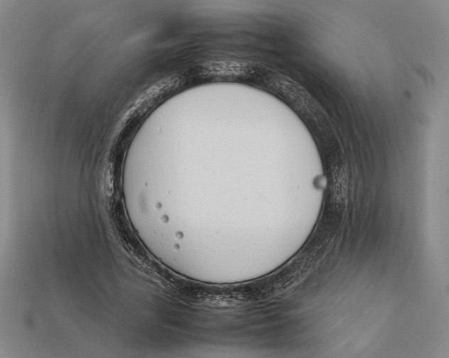 X0000112400731200909110928