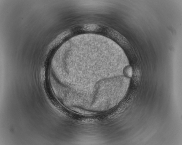 X0000112400734200909110928