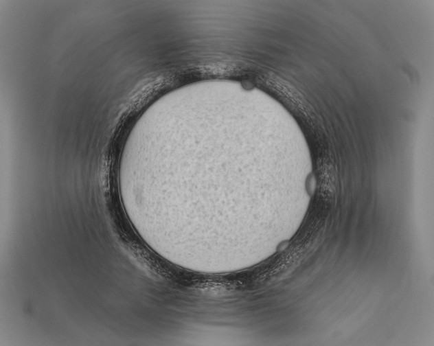 X0000112400738200909110928