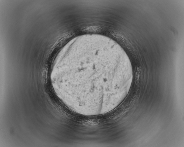 X0000112400739200909110928