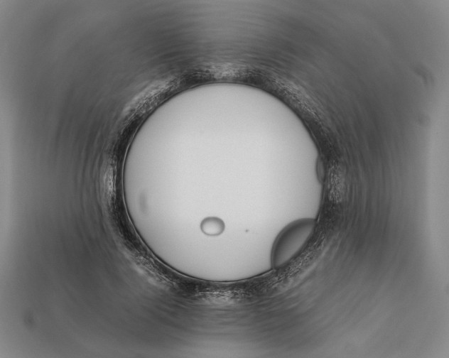 X0000112400740200909110928