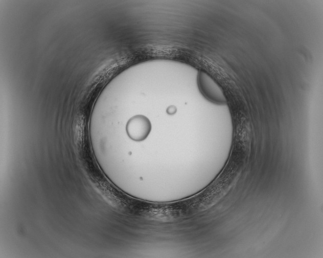 X0000112400744200909110928