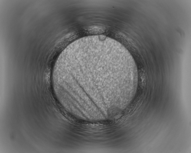 X0000112400745200909110928