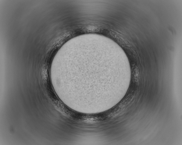 X0000112400746200909110928
