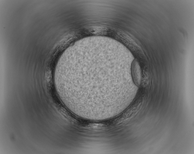 X0000112400748200909110928