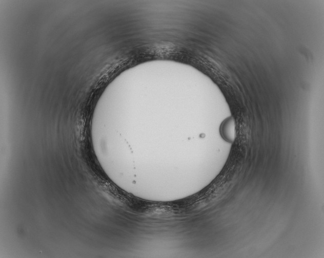 X0000112400750200909110928