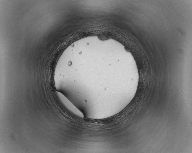 X0000112400752200909110929