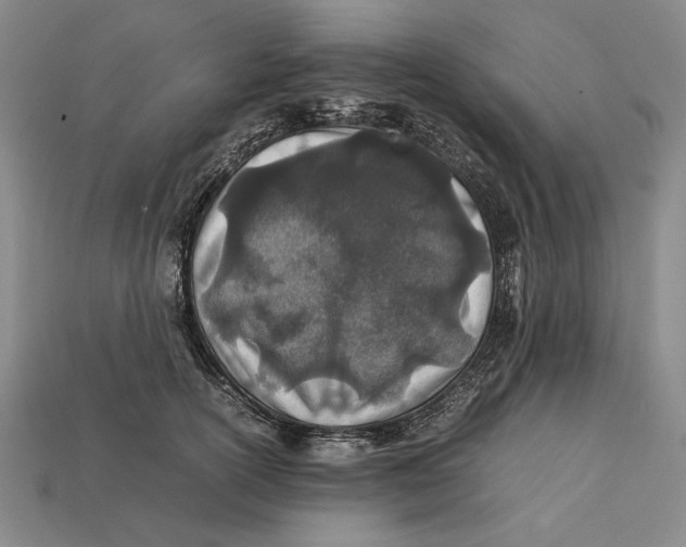 X0000112400754200909110929