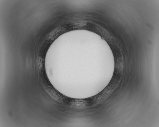 X0000112400758200909110929