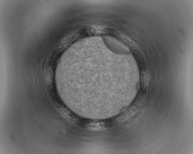 X0000112400760200909110929