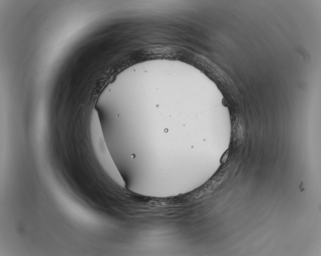 X0000112400764200909110929